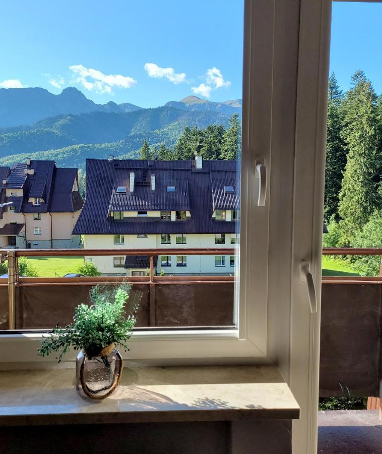 Apartament Rodzinny Kościelisko Zewnętrze zdjęcie